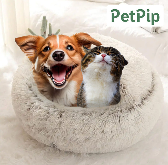 PetPip™ Anti-Arthritis Cloud Bed